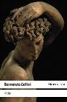 Benvenuto Cellini - Vida