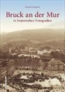 Friedrich Zwitkovits - Bruck an der Mur