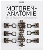Danie Bartetzko, Daniel Bartetzko, Alex Polaschek, Alexander Polaschek, Lar Rosenbrock, Lars Rosenbrock... - Motoren-Anatomie