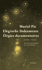 Muriel Pic, Lukas Bärfuss - Elegische Dokumente / Élegies documentaires