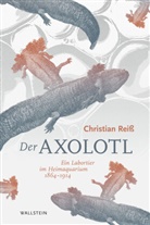 Christian Reiß - Der Axolotl
