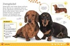 Andrea Mills, DK Verlag, DK Verlag - Kids - Alles über deinen Hund