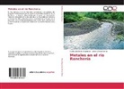Carlos Juli Doria Argumedo, Carlos Julio Doria Argumedo, Jaiker Gómez Sierra - Metales en el rio Ranchería