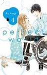 Rie Aruga - Perfect World. Bd.4