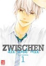 Haru Tsukishima - Zwischen dir und mir. Bd.1
