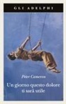 Peter Cameron - Un giorno questo dolore ti sarà utile