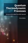 Guenter Mahler, Guenter (ITP1 Universitaet Stuttgart Mahler - Quantum Thermodynamic Processes