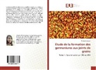 Khaoula Zaouali - Étude de la formation des germaniures aux joints de grains