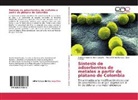 José Castillo, Andrés Felip Cordero Castaño, Andrés Felipe Cordero Castaño, Milt Gómez Barrera, Milton Gómez Barrera - Síntesis de adsorbentes de metales a partir de plátano de Colombia