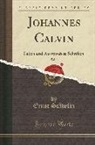 Ernst St¿lin, Ernst Stahelin, Ernst Stähelin - Johannes Calvin, Vol. 2: Leben Und Ausgewählte Schriften (Classic Reprint)