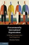 Elisabetta Morlino - Procurement By International Organizations