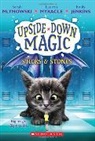 Emily Jenkins, Sarah Mlynowski, Sarah et al. Mlynowski et al., Lauren Myracle - UPSIDE DOWN MAGIC #2: Sticks and Stones