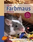 Melanie Teubler - Meine Farbmaus zu Hause