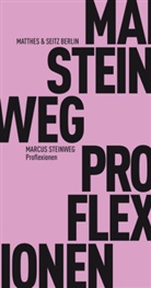 Marcus Steinweg - Proflexionen