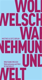 Wolfgang Welsch, Fran Fehrenbach, Frank Fehrenbach, Prof. Dr. Frank Fehrenbach - Wahrnehmung und Welt