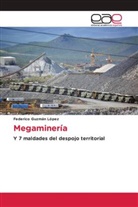 Federico Guzm¿L¿pez, Federico Guzmán López - Megaminería