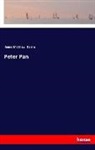 James Matthew Barrie - Peter Pan