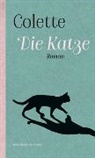 Colette - Die Katze