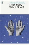 Hans Fallada, Michael Hofmann - Little Man, What Now?
