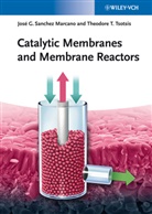 José Sanchez Marcano, José G Sanchez Marcano, José G. Sanchez Marcano, Theodore T Tsotsis, Theodore T. Tsotsis - Catalytic Membranes and Membrane Reactors