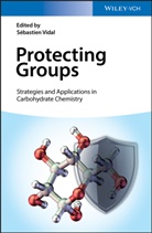 Sébastien Vidal, Sébastie Vidal, Sébastien Vidal - Protecting Groups