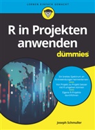Rainer G. Haselier, Joseph Schmuller - R in Projekten anwenden für Dummies