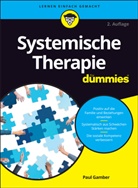 Paul Gamber - Systemische Therapie für Dummies