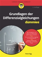 Timm Sigg - Grundlagen der Differenzialgleichungen für Dummies