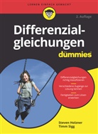 Steve Holzner, Steven Holzner, Timm Sigg - Differenzialgleichungen für Dummies