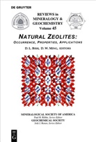 David L. Bish, Davi L Bish, David L Bish, Douglas W. Ming, W Ming, W Ming - Natural Zeolites