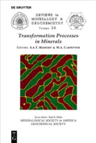 A Carpenter, A Carpenter, Simo A Redfern, Simon A Redfern, Michael A. Carpenter, Simon A. Redfern - Transformation Processes in Minerals
