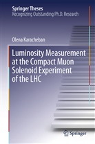 Olena Karacheban - Luminosity Measurement at the Compact Muon Solenoid Experiment of the LHC