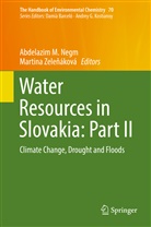 Abdelazi M Negm, Abdelazim M Negm, Abdelazim M Negm, Abdelazim M. Negm, Martina Zele¿áková, Zelenáková... - The Handbook of Environmental Chemistry - 70: Water Resources in Slovakia: Part II