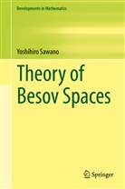 Yoshihiro Sawano - Theory of Besov Spaces