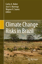 Jos A Marengo, Jose A Marengo, Jose A Marengo, Jose A. Marengo, Carlos Nobre, Carlos A. Nobre... - Climate Change Risks in Brazil