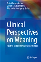 Alexander Batthyany, Stefa E Schulenberg, Stefan E Schulenberg, Pninit Russo-Netzer, Stefan E. Schulenberg - Clinical Perspectives on Meaning