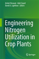 David A Lightfoot, David A. Lightfoot, Ashok Shrawat, Ade Zayed, Adel Zayed - Engineering Nitrogen Utilization in Crop Plants
