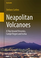Stefano Carlino - Neapolitan Volcanoes