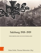 Oska Dohle, Oskar Dohle, Oskar Herausgegeben von Dohle, Mitterecker, Mitterecker, Thoma Mitterecker... - Salzburg 1918-1919