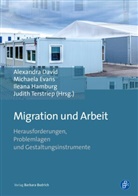 Alexandra David, Michael Evans, Michaela Evans, Ilea Hamburg, Ileana Hamburg, Ileana Hamburg u a... - Migration und Arbeit