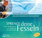 Reinhard Stengel - Sprenge deine Fesseln, 5 Audio-CDs (Hörbuch)