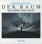 Werner Reichel - Der Baum, ein Gipfel der Natur