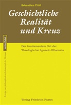 Sebastian Pittl - Geschichtliche Realität und Kreuz