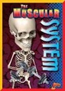 Barbara Lowell - The Muscular System