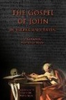 Virginia Grinch, Edgar Evan Hayes, Stephen A. Nimis - The Gospel of John in Greek and Latin: A Comparative Intermediate Reader: Greek and Latin Text with Running Vocabulary and Commentary