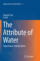 Chang Sun, Chang Q Sun, Chang Q. Sun, Yi Sun - The Attribute of Water