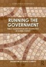 Salvatore Schiavo-Campo, Salvatore (The World Bank Schiavo-Campo, Schiavo-Campo Salvatore - Running the Government