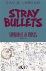 David Lapham, Gilbert Hernandez, Jaime Hernandez, David Lapham - Stray Bullets: Sunshine & Roses Volume 2