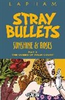 David Lapham, David Lapham, Johnny Ryan, david Sandlin - Stray Bullets: Sunshine & Roses Volume 3