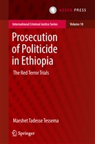 Marshet Tadesse Tessema - Prosecution of Politicide in Ethiopia